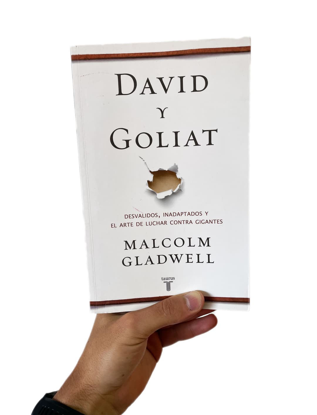 David and Goliath